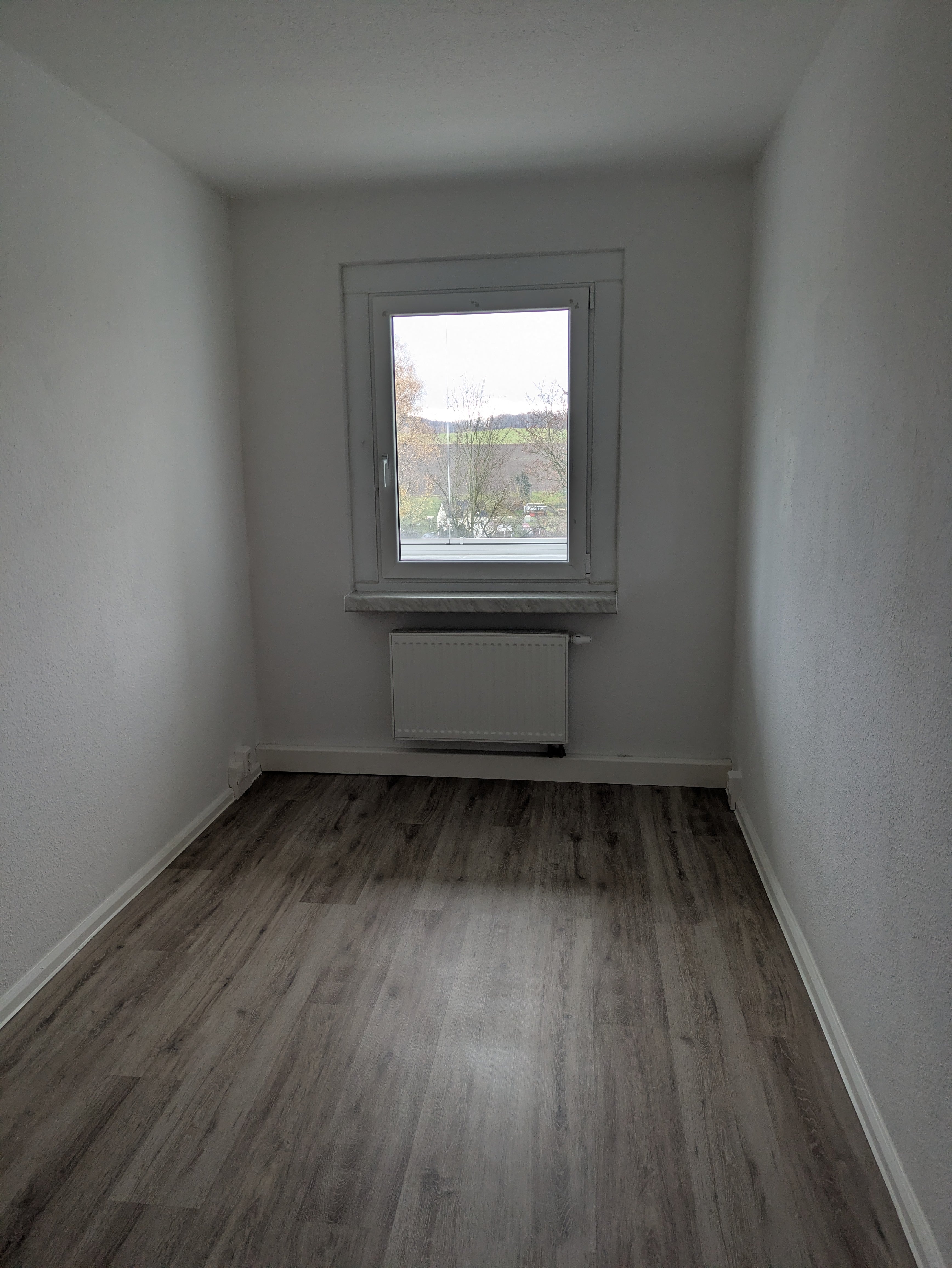 PXL 20251111 080619161 min