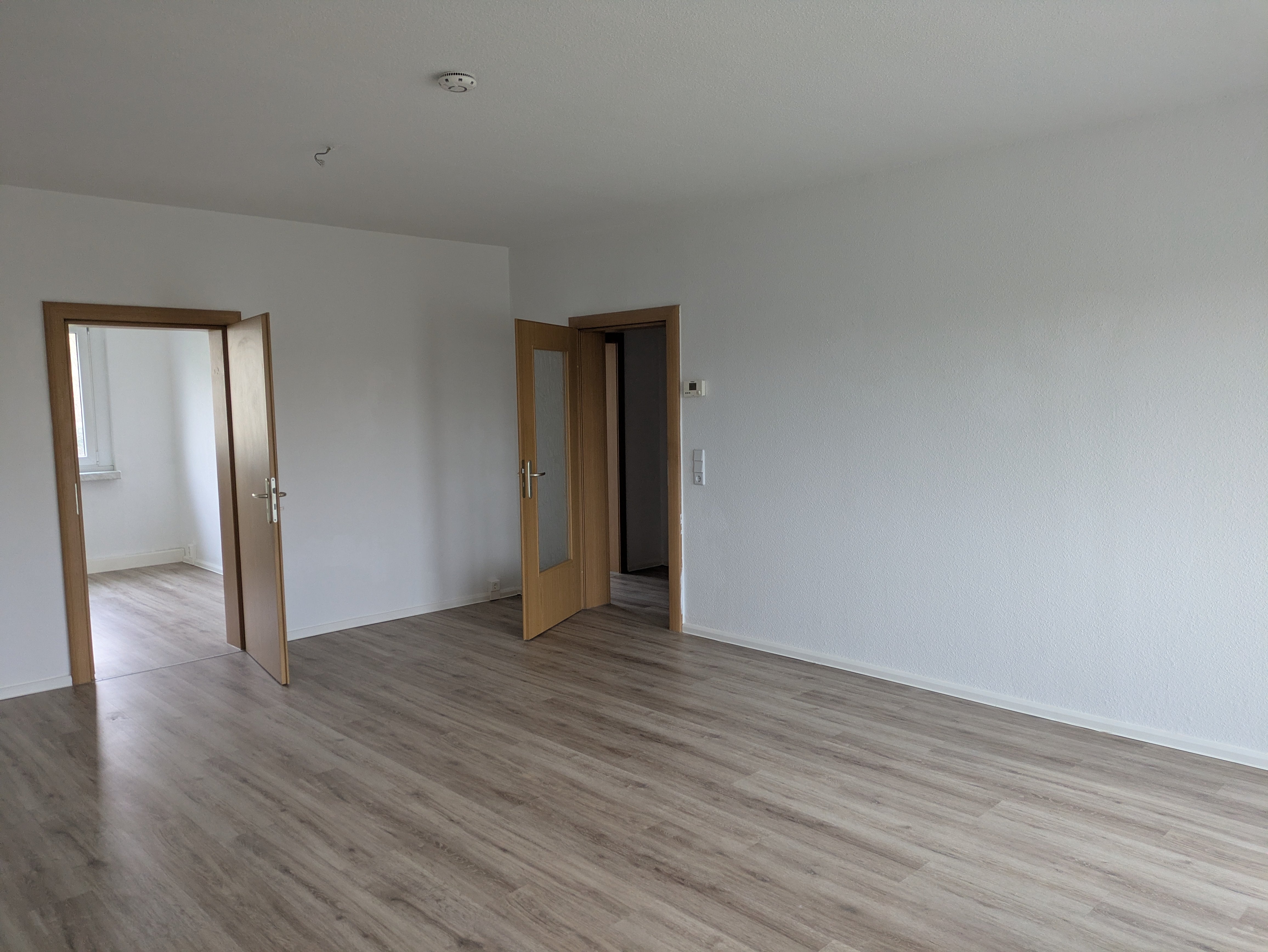 PXL 20251111 080628610 min